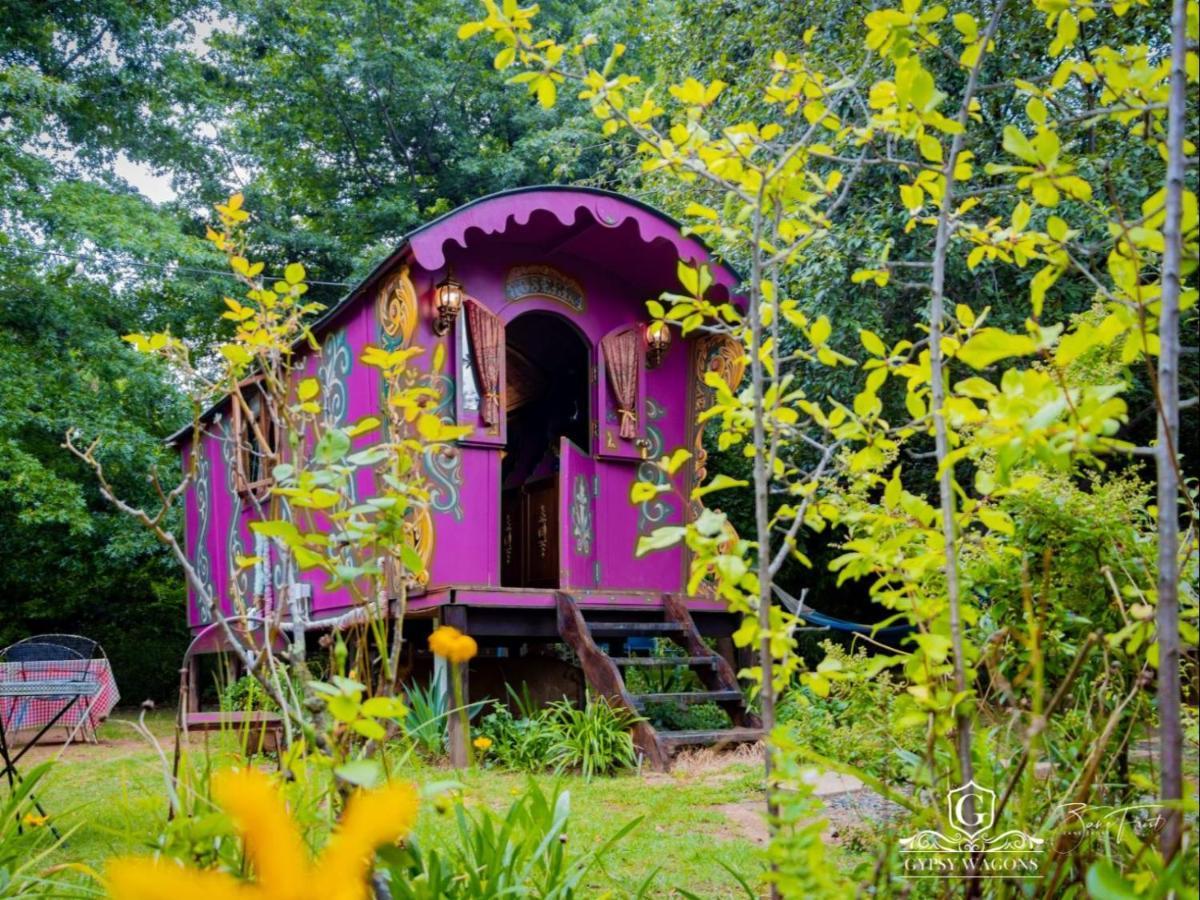 Gypsy Wagons&Vans, Clarens Rum bild