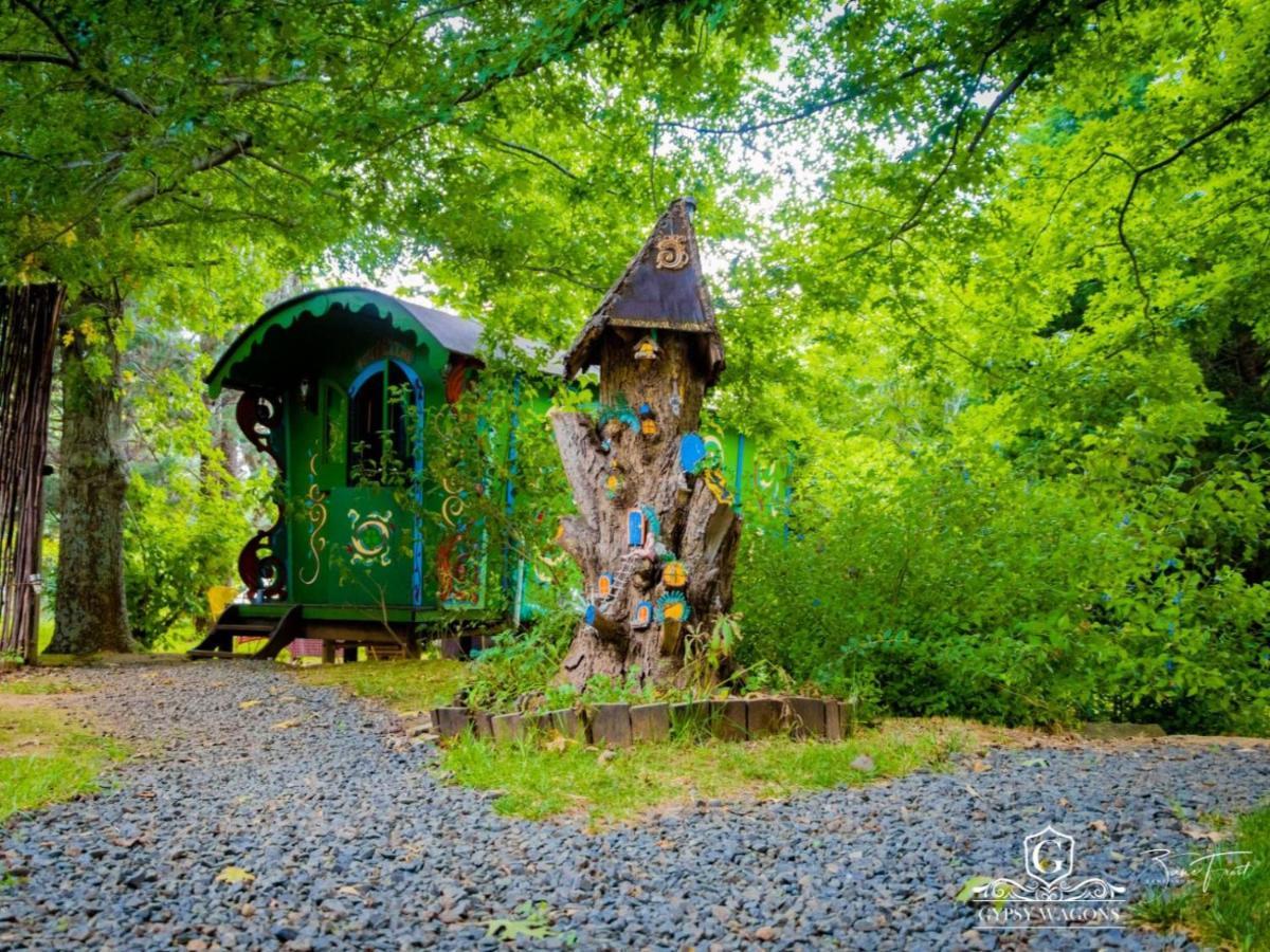 Gypsy Wagons&Vans, Clarens Rum bild